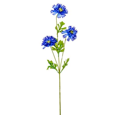 Búzavirág szálas 3v. M70cm 48db/#