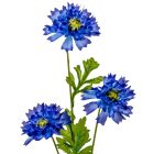 Búzavirág szálas 3v. M70cm 48db/#