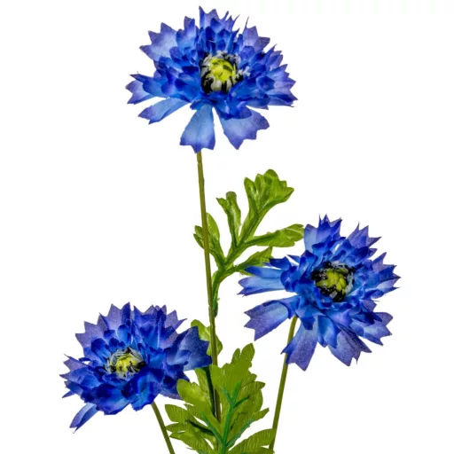 Búzavirág szálas 3v. M70cm 48db/#