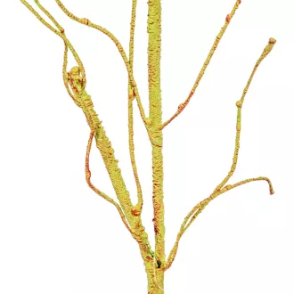 Mohás ág zöld M55cm 60db/#