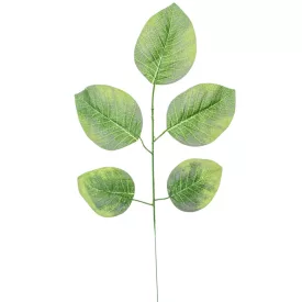 Leveles ág M56cm 12db/köteg