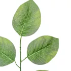 Leveles ág M56cm 12db/köteg