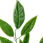 Leveles ág M63cm 12db/köteg