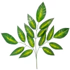 Leveles ág M64cm 12db/köteg