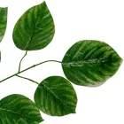 Leveles ág M65cm 12db/köteg