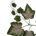 Szőlő leveles ág M62cm 12db/köteg