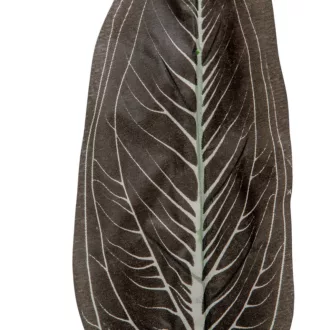 Levél M48cm 12db/köteg