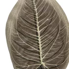 Levél M46cm 12db/köteg