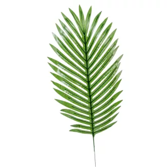 Pálma levél M50cm 12db/köteg