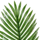 Pálma levél M50cm 12db/köteg