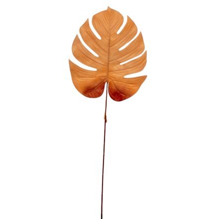 Pálma levél barna M56cm 12db/köteg