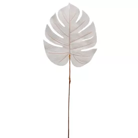 Pálma levél fehér M56cm 12db/köteg