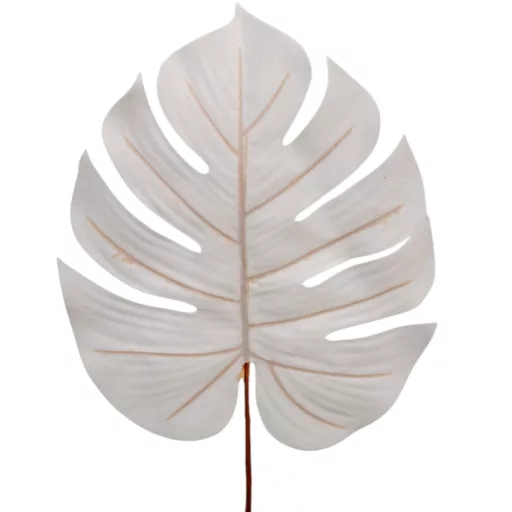 Pálma levél fehér M56cm 12db/köteg
