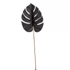 Pálma levél fekete M56cm 12db/köteg