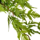 Páfrány futó 80cm 24db/#