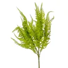 Páfrány bokor 7ágú M46cm 48db/#