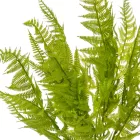 Páfrány bokor 7ágú M46cm 48db/#