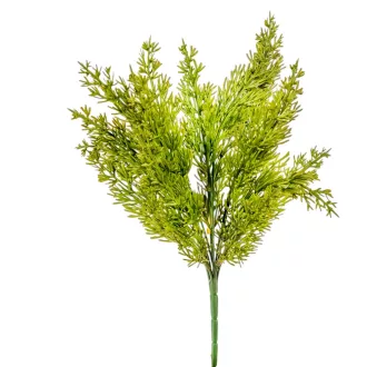 Tuja bokor 6ágú M40cm 24db/#