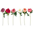 Peony szálas mix M55cm 36db/#