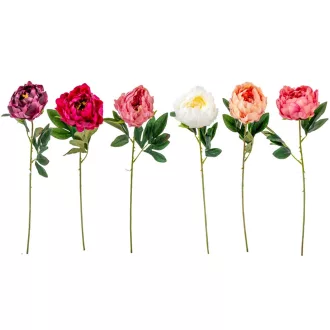 Peony szálas mix M55cm 36db/#