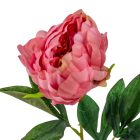 Peony szálas mix M55cm 36db/#