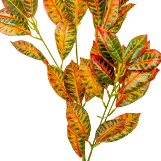 Leveles ág M85cm 36db/#
