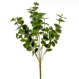 Eukaliptusz bokor 7ágú zöld M46cm 30db/#