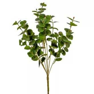 Eukaliptusz bokor 7ágú zöld M46cm 30db/#