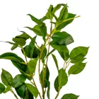 Fikusz ág zöld M78cm 24db/#