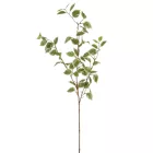 Fikusz ág M90cm 30db/#