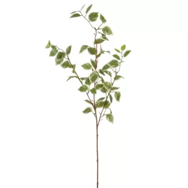 Fikusz ág M90cm 30db/#