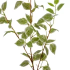 Fikusz ág M90cm 30db/#