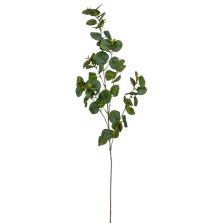 Eukaliptusz ág zöld M90cm 24db/#