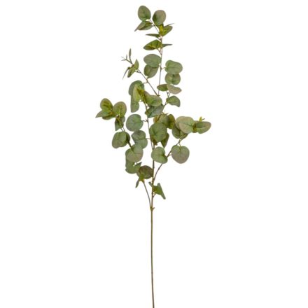Eukaliptusz ág világos zöld M90cm 24db/#