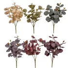 Eukaliptusz bokor 5ágú mix M35cm 48db/#