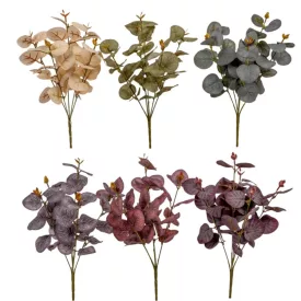 Eukaliptusz bokor 5ágú mix M35cm 48db/#