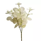 Eukaliptusz bokor 5ágú fehér M34cm 48db/#