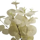 Eukaliptusz bokor 5ágú fehér M34cm 48db/#