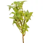 Zöld leveles ág M33cm 24db/#