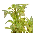 Zöld leveles ág M33cm 24db/#