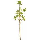 Zöld díszítő ág M66cm 24db/#