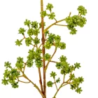 Zöld díszítő ág M66cm 24db/#