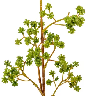 Zöld díszítő ág M66cm 24db/#