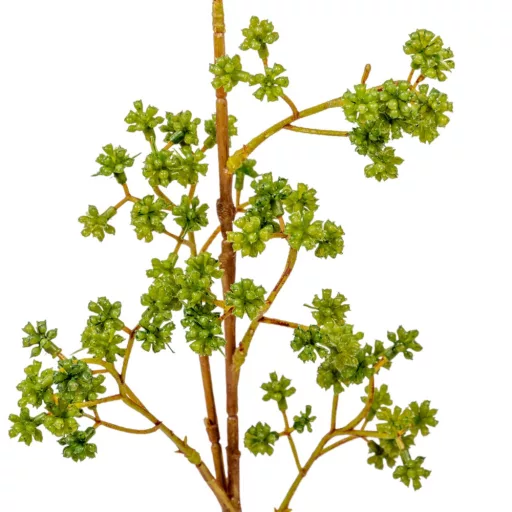 Zöld díszítő ág M66cm 24db/#