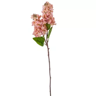 Gyümölcs ág 2v gumi M68cm 12db/#