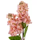 Gyümölcs ág 2v gumi M68cm 12db/#