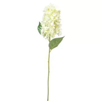 Hortenzia szálas krém M72cm 24db/# 