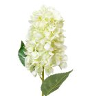 Hortenzia szálas krém M72cm 24db/# 