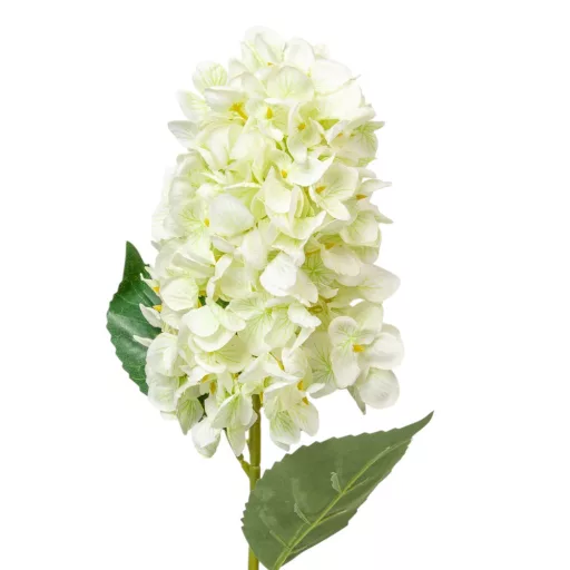 Hortenzia szálas krém M72cm 24db/# 
