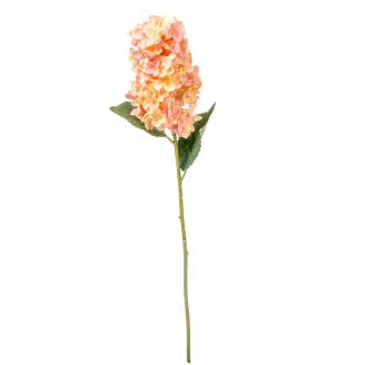 Hortenzia szálas rózsaszín M72cm 24db/# 